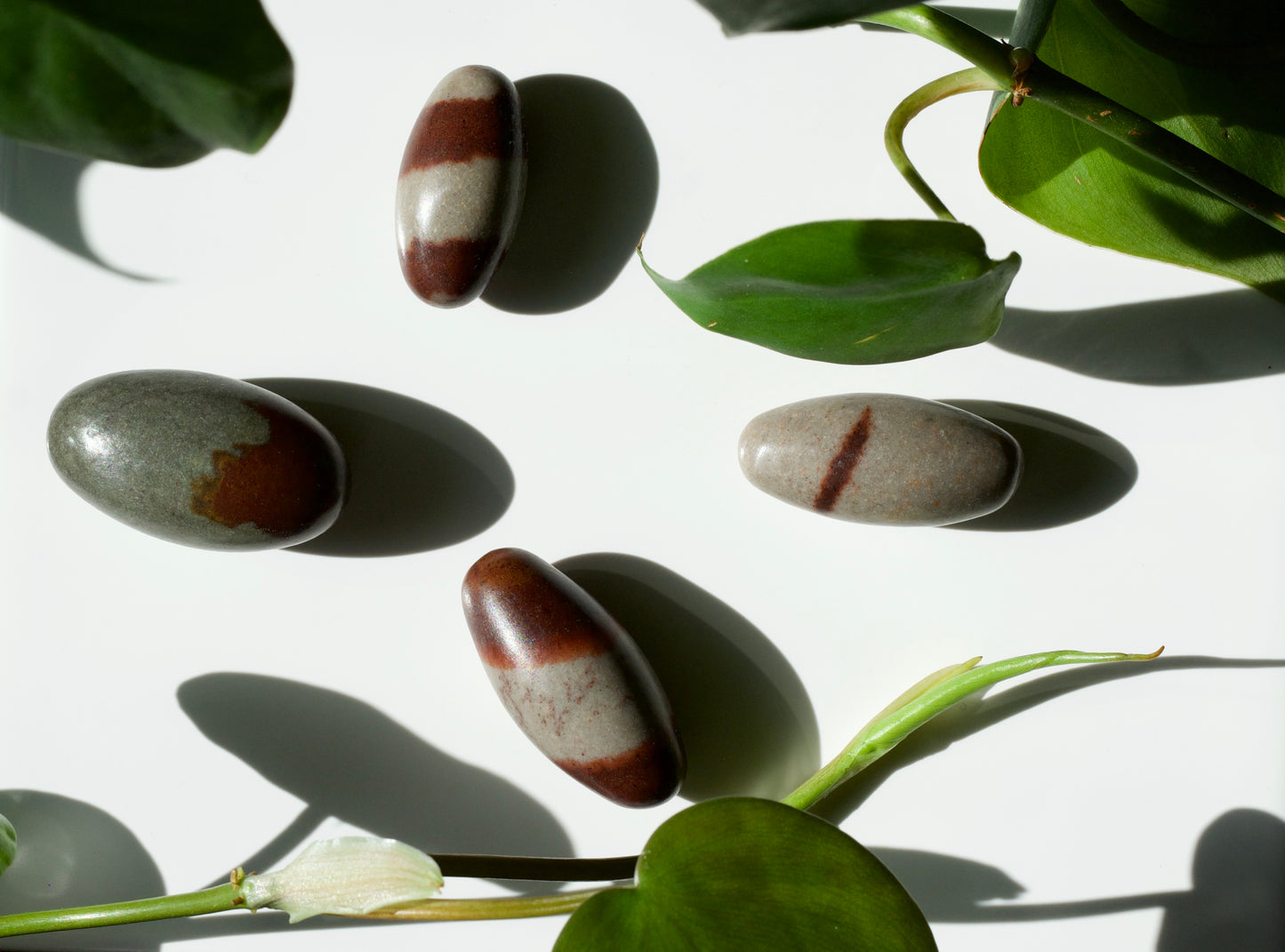 Shiva Lingam Stone