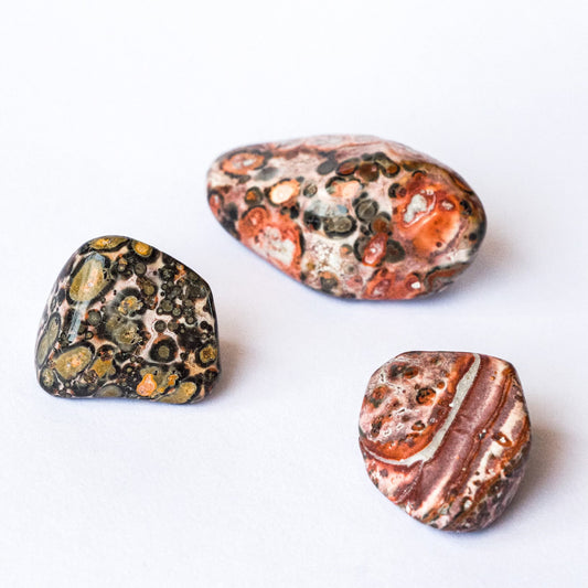 Leopardskin Jasper Tumbled