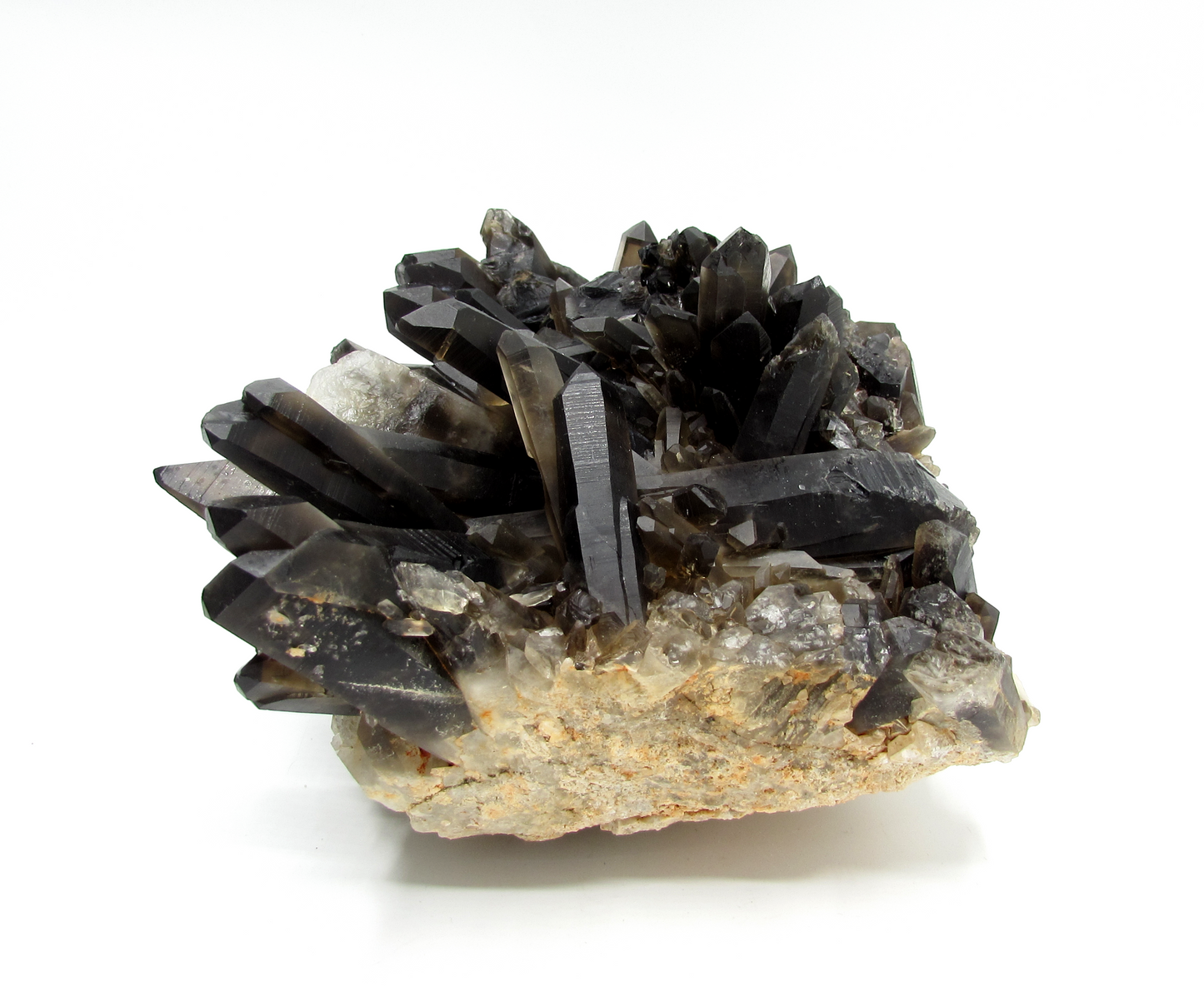 Smoky Quartz Cluster XL - B
