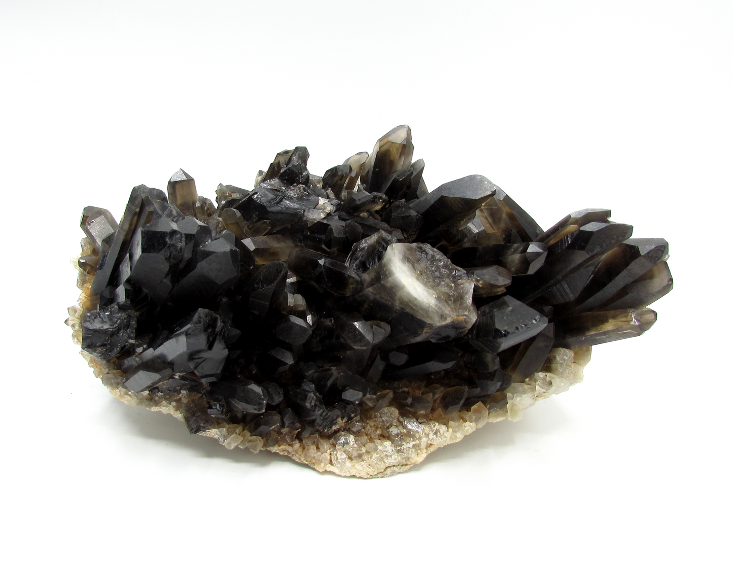 Smoky Quartz Cluster XL - B