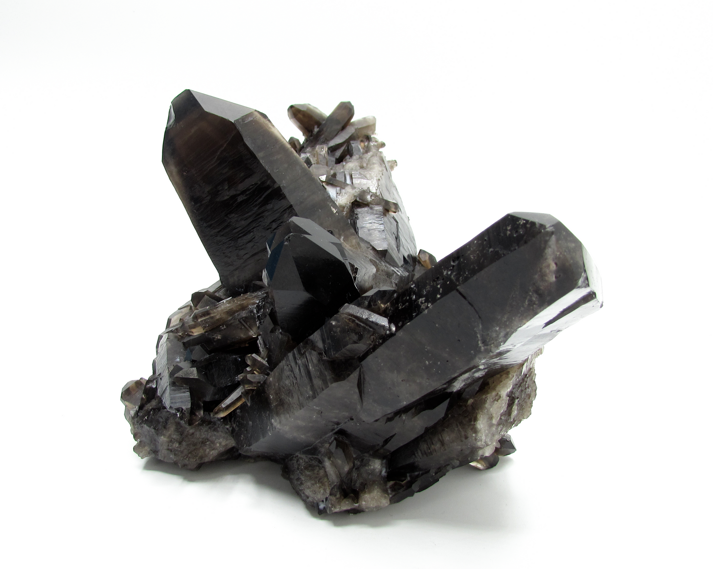 Smoky Quartz Cluster XL - C