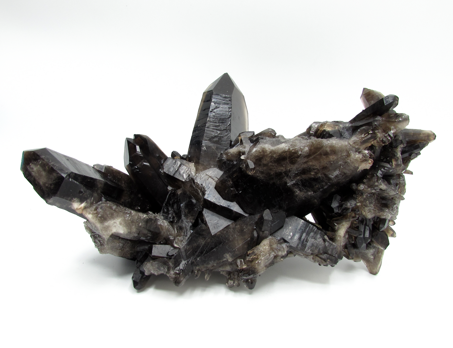 Smoky Quartz Cluster XL - C