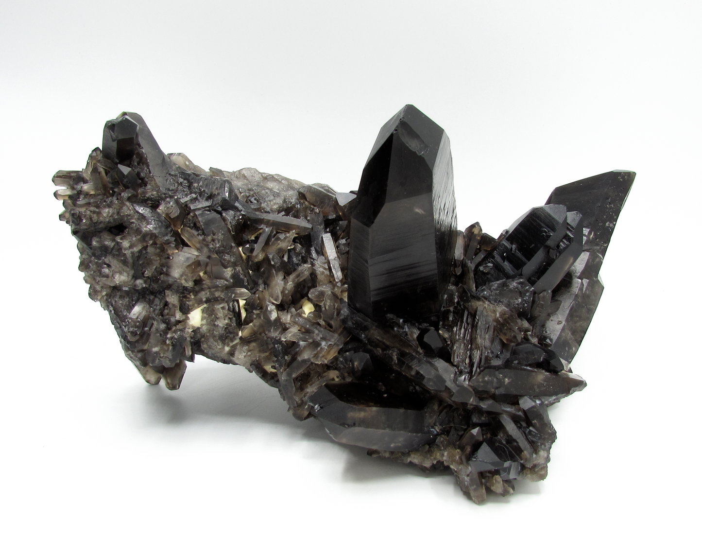 Smoky Quartz Cluster XL - C