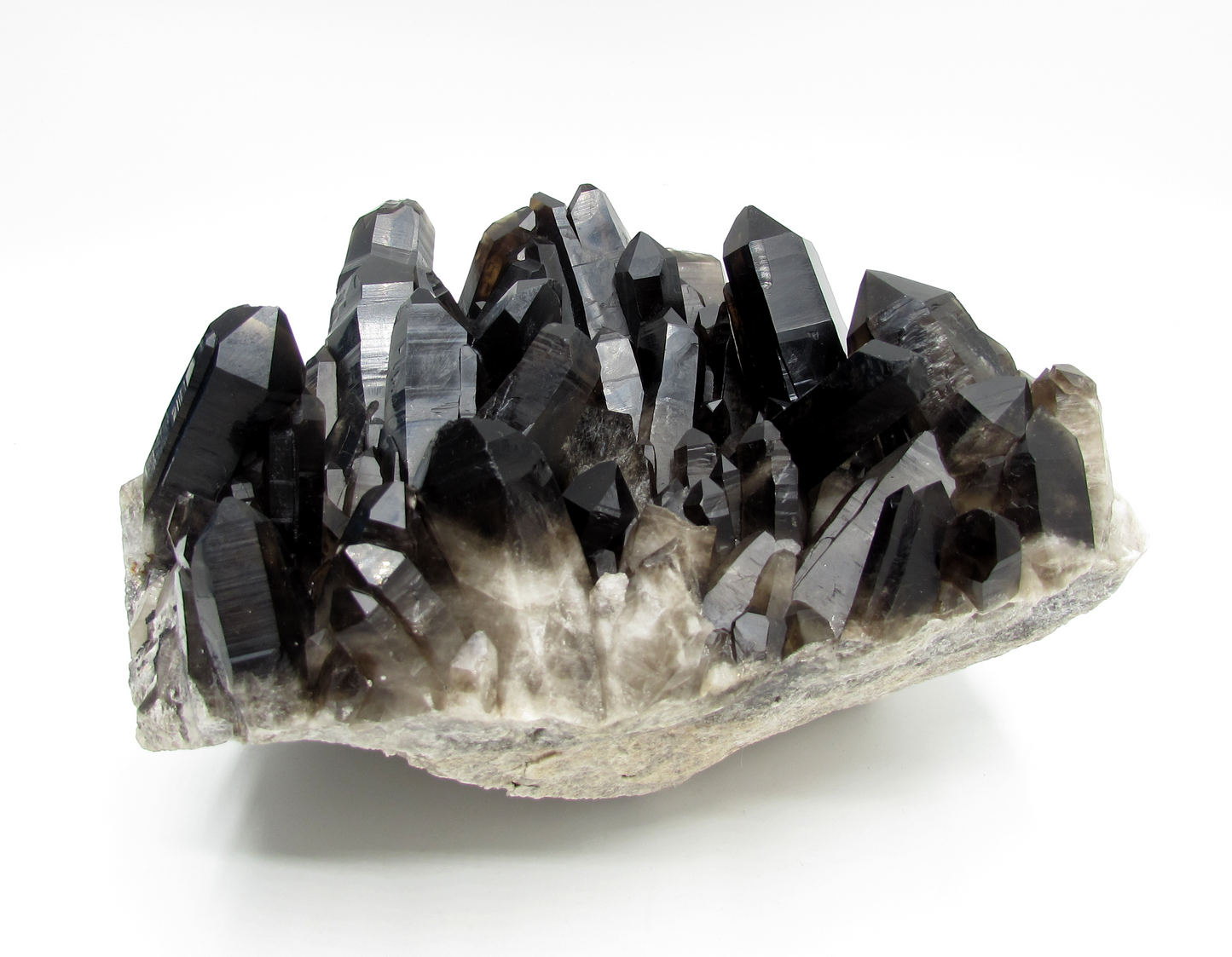 Smoky Quartz Cluster XL - D