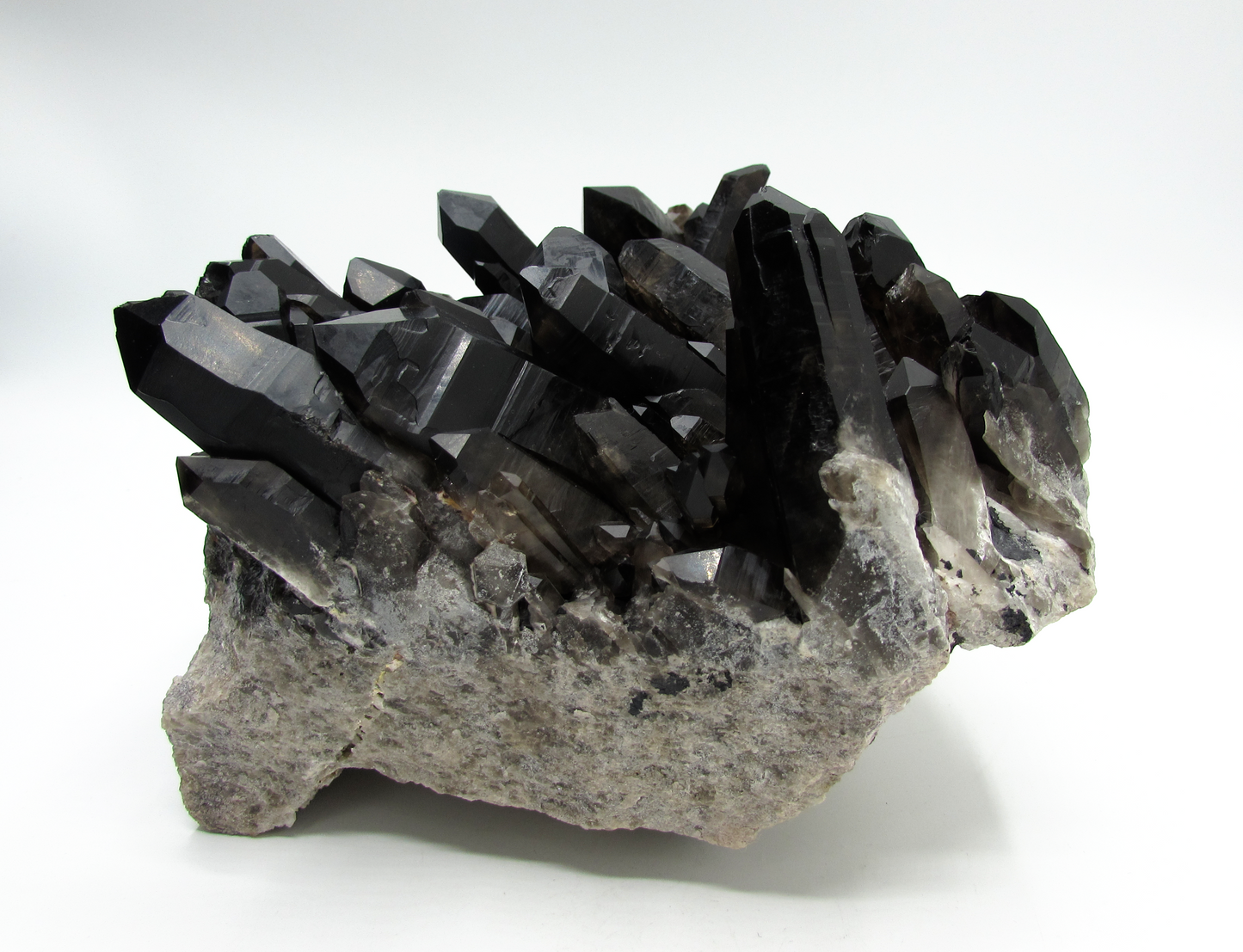 Smoky Quartz Cluster XL - D