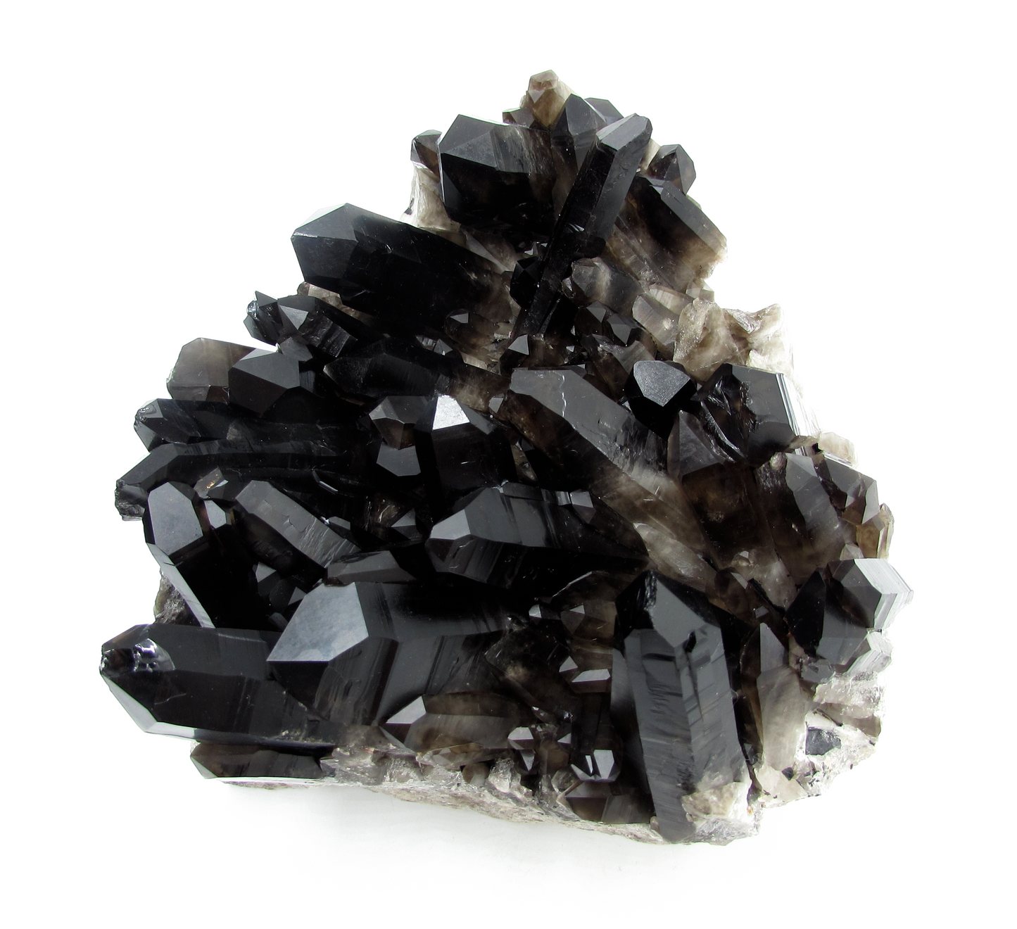 Smoky Quartz Cluster XL - D
