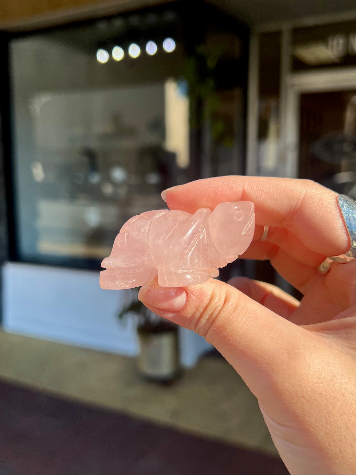 Rose Quartz Tortoise Animal Crossing Totem