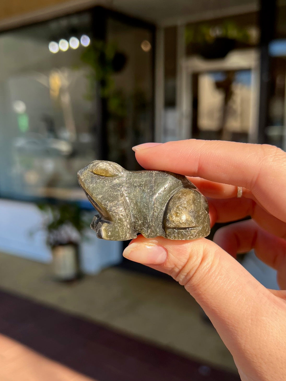 Labradorite Frog Animal Crossing Totem