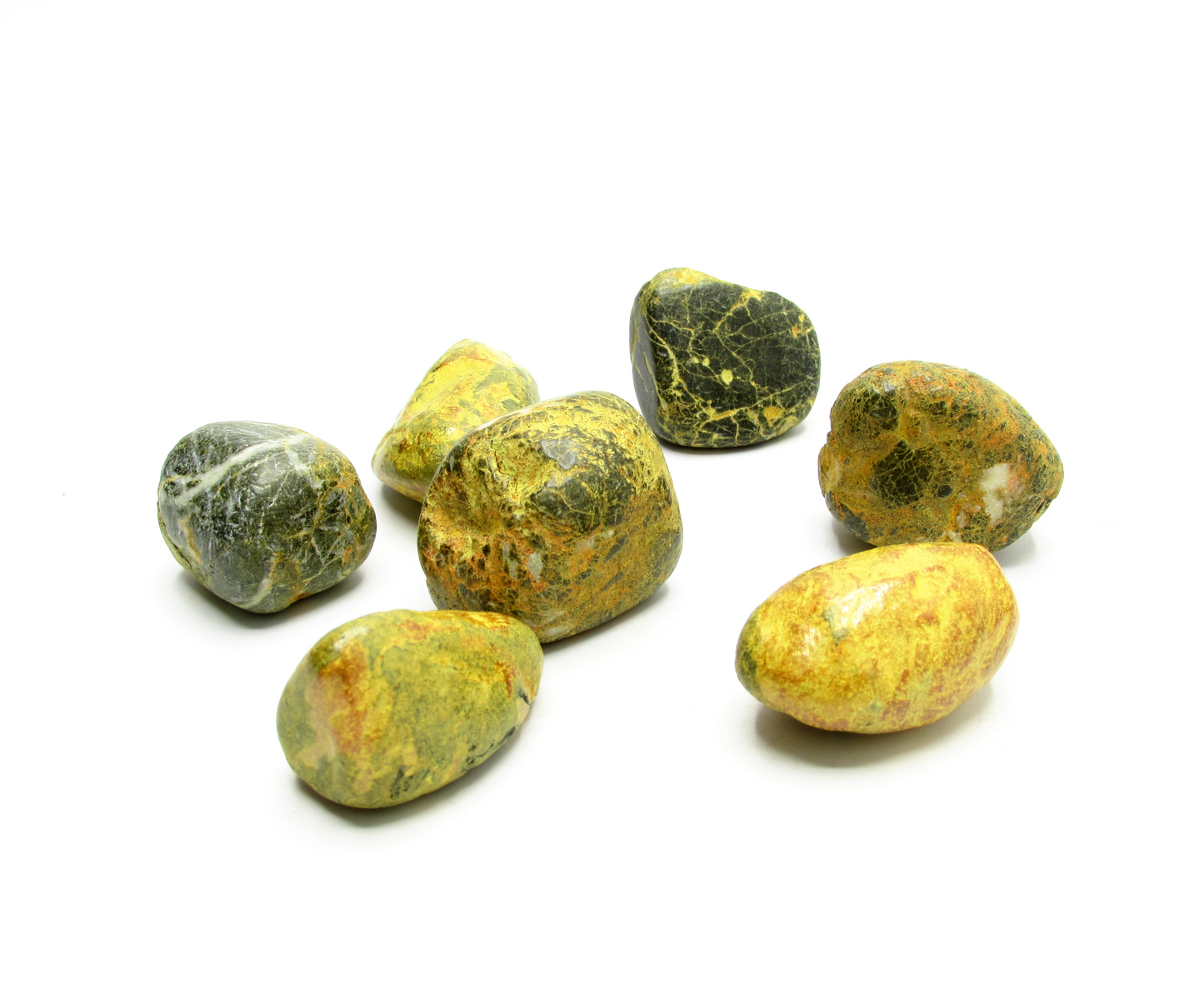Bumblebee Jasper