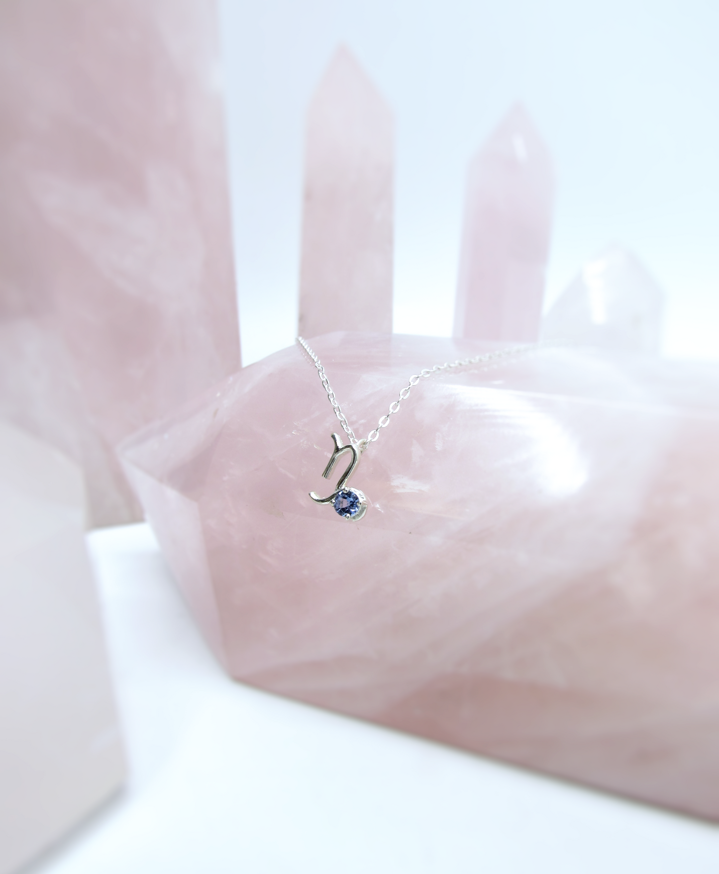 Capricorn Zodiac Pendant - Tanzanite – Sterling Silver