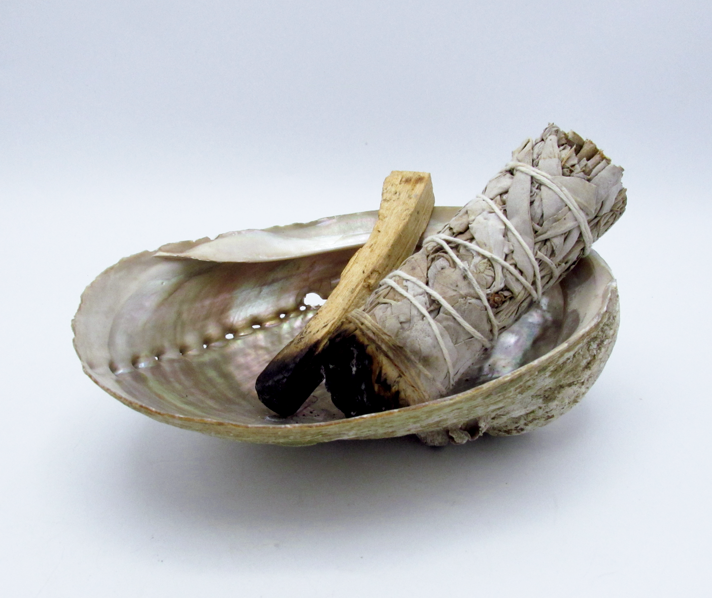 Large White Abalone Shell Bowl