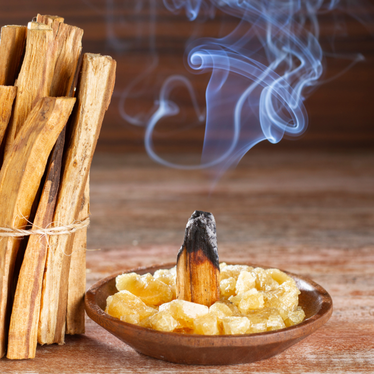 Palo Santo Smudge Stick