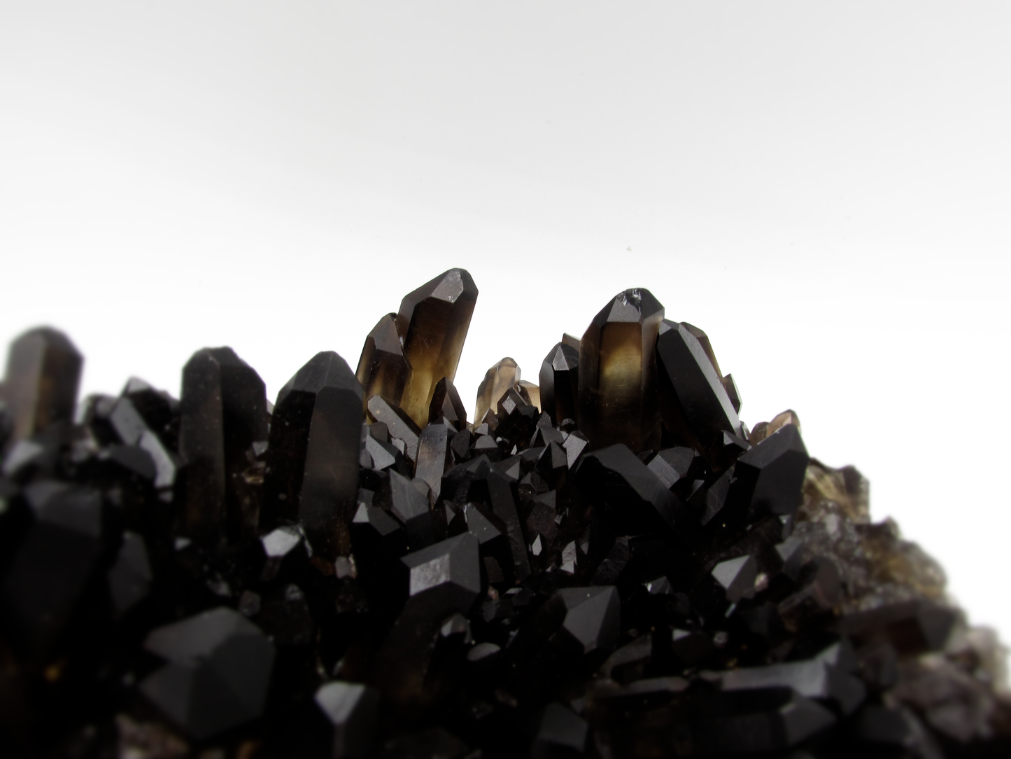 Smoky Quartz Cluster XL
