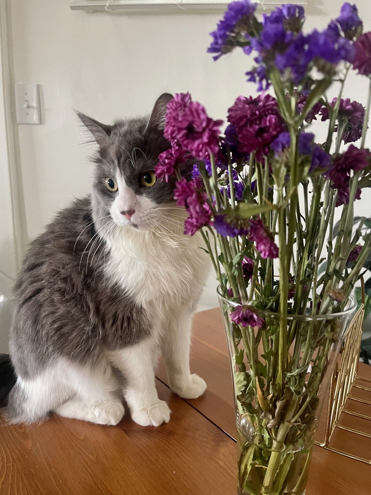 Lucky Grayson Vinyl Sticker