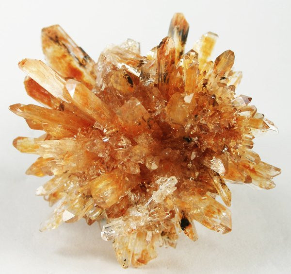 Creedite