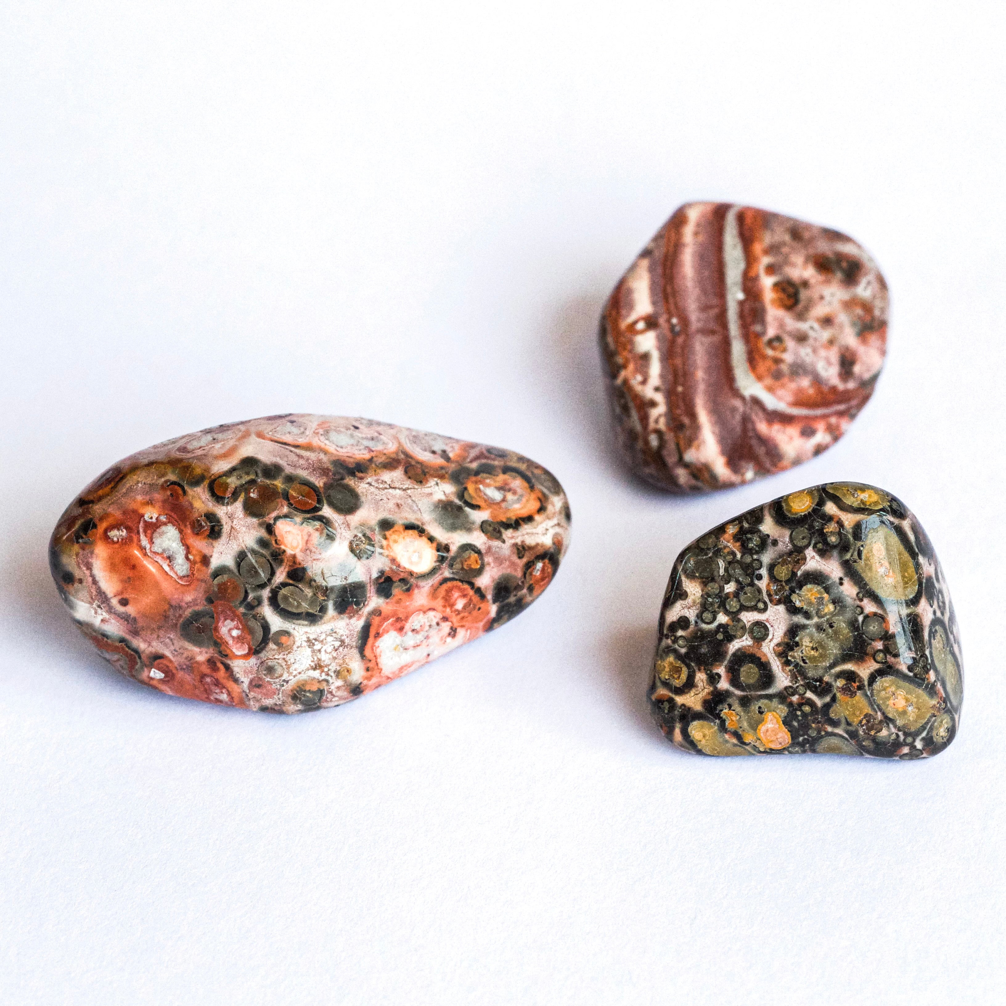 Leopardskin Jasper – ANGEL RA