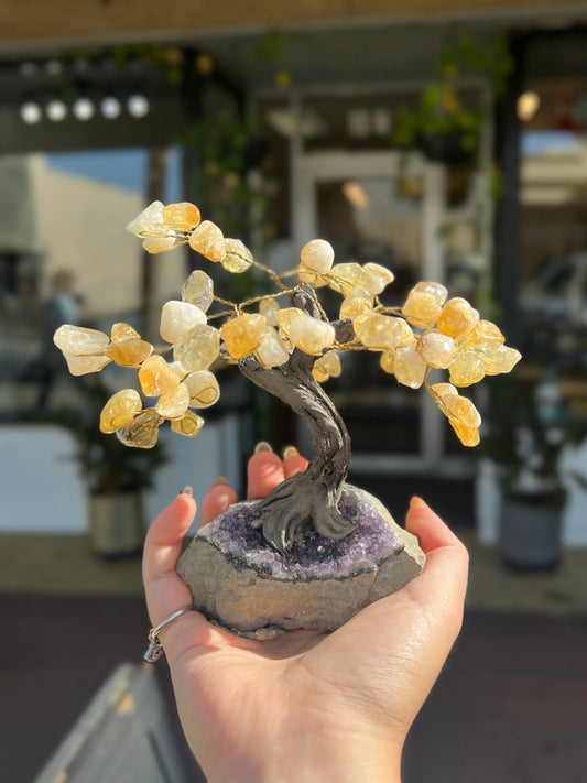 Crystal Tree of Life