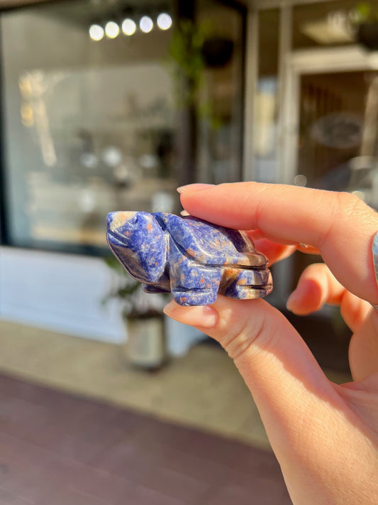 Sodalite Tortoise Animal Crossing Totem