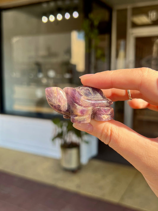 Amethyst Tortoise Animal Crossing Totem