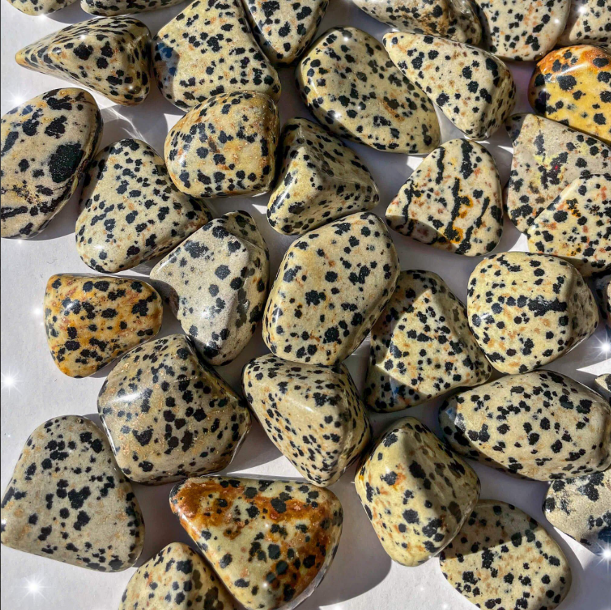 Dalmatian Stone Tumbled