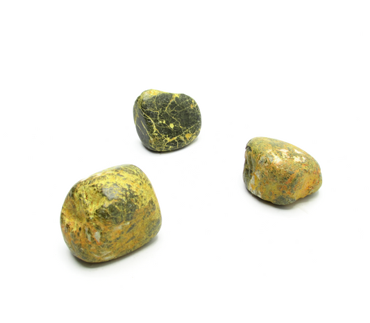 Bumblebee Jasper