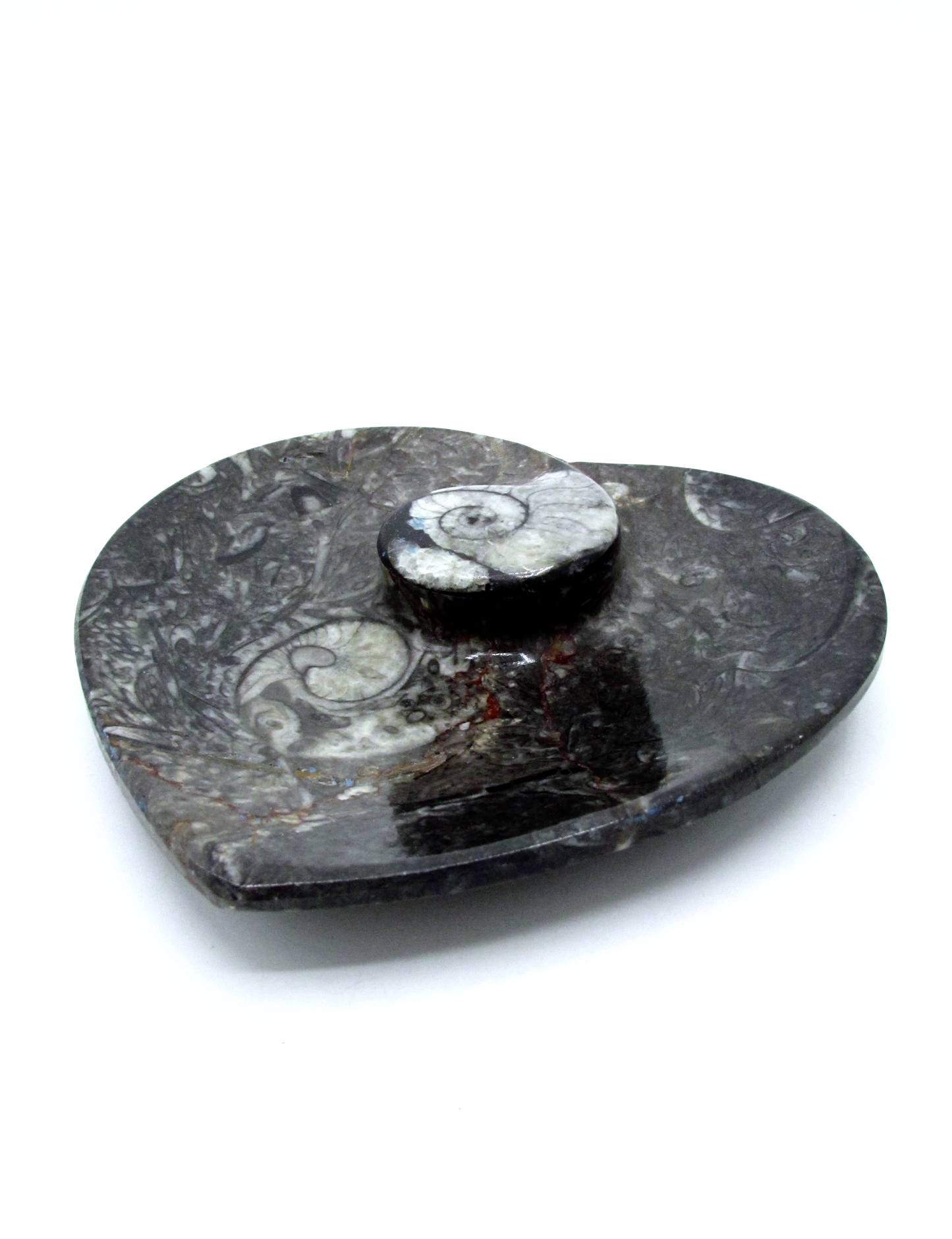 Fossilized Orthoceras Heart Tray | Hand-Carved in Morocco