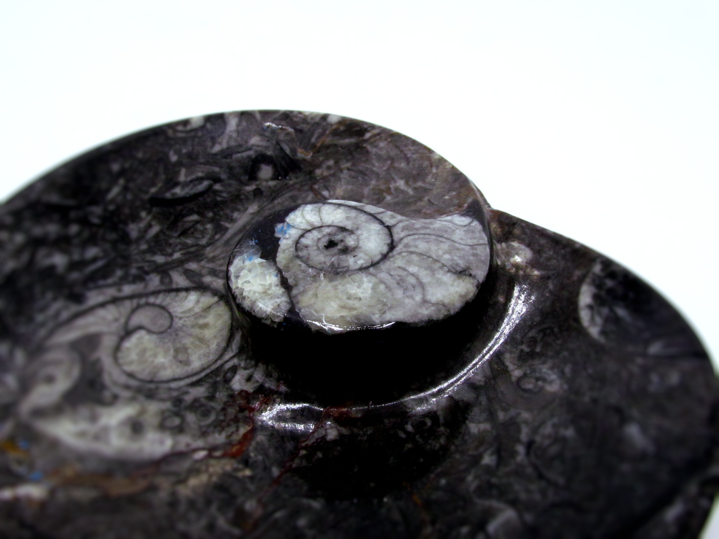 Fossilized Orthoceras Heart Tray | Hand-Carved in Morocco