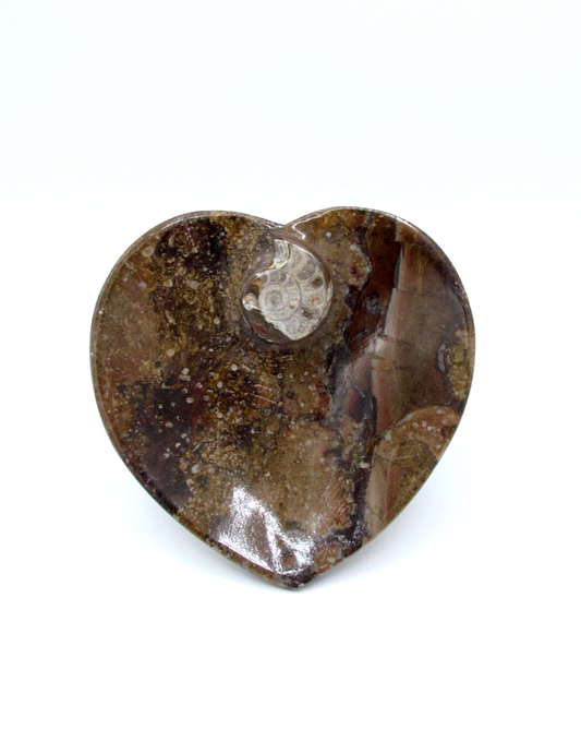 Fossilized Orthoceras Heart Tray | Hand-Carved in Morocco