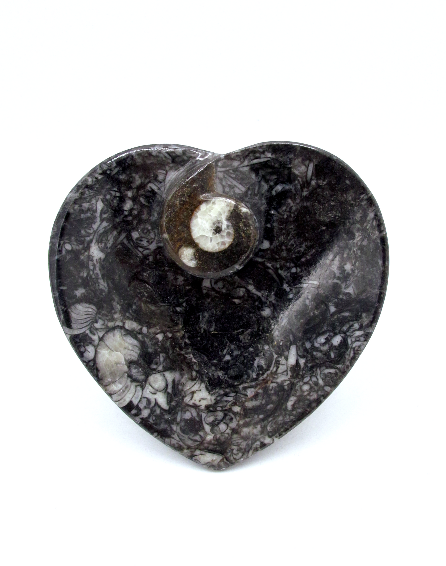 Fossilized Orthoceras Heart Tray | Hand-Carved in Morocco