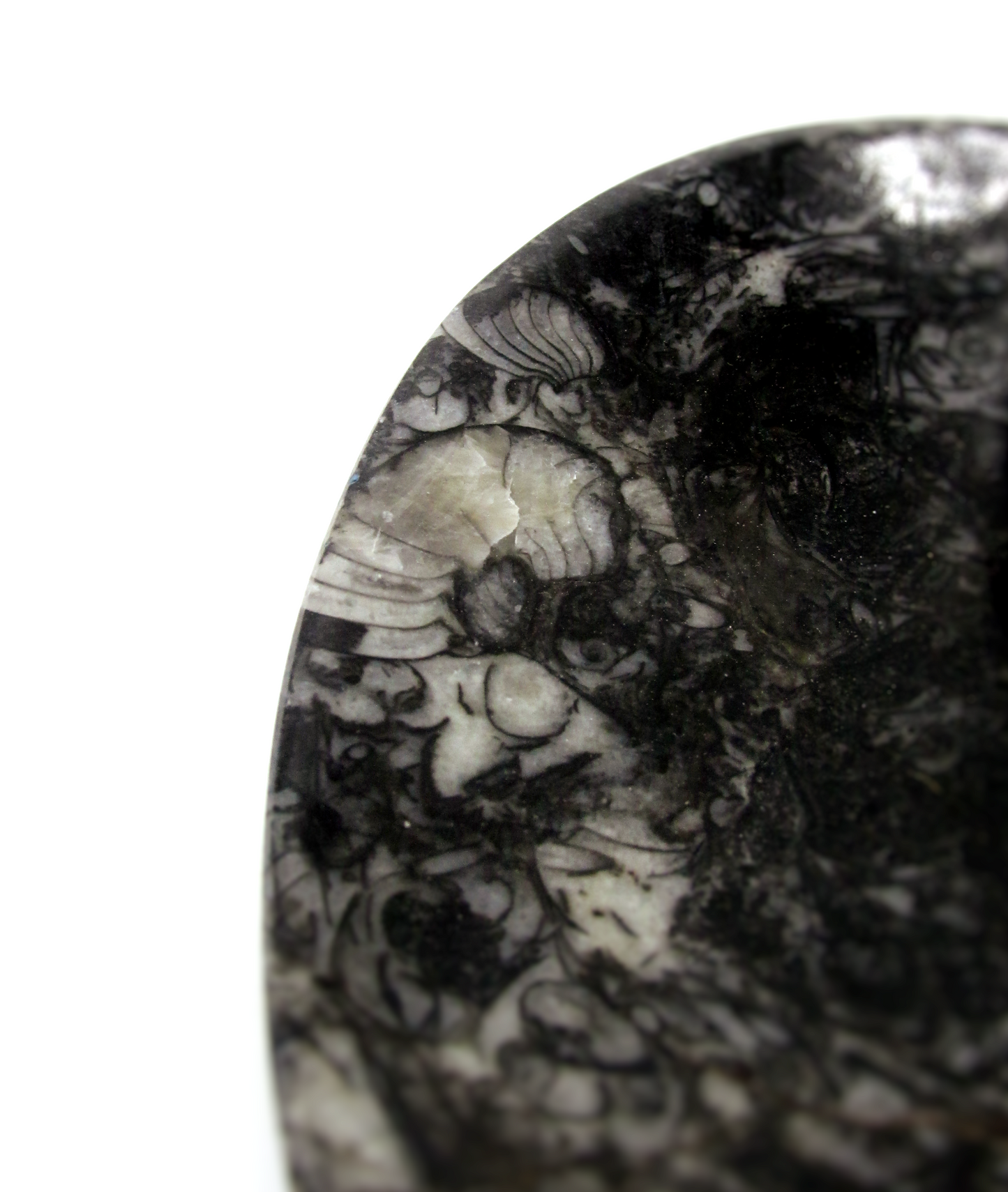 Fossilized Orthoceras Heart Tray | Hand-Carved in Morocco