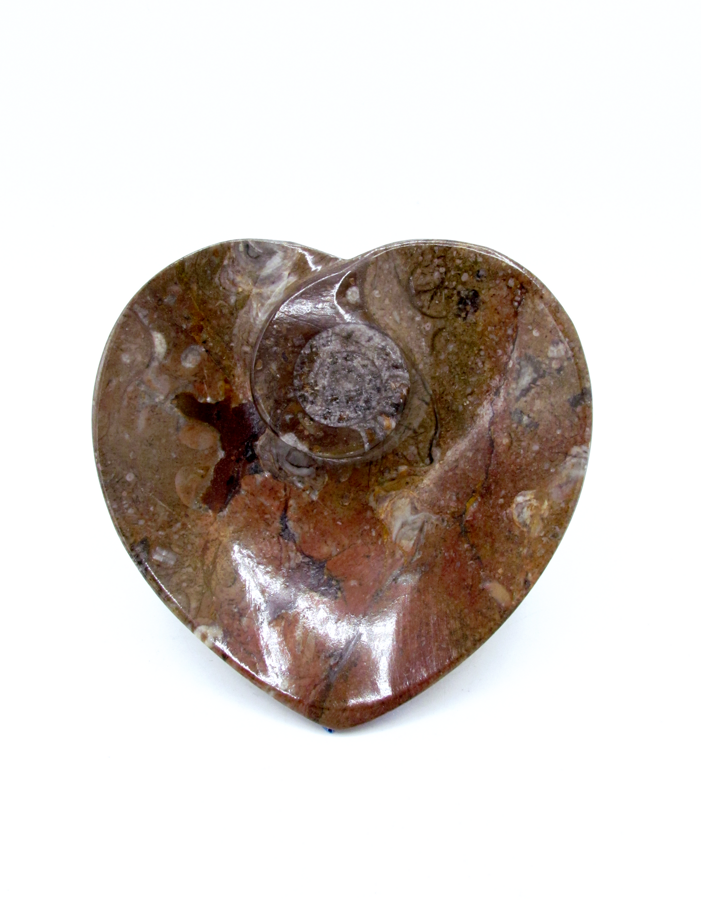 Fossilized Orthoceras Heart Tray | Hand-Carved in Morocco