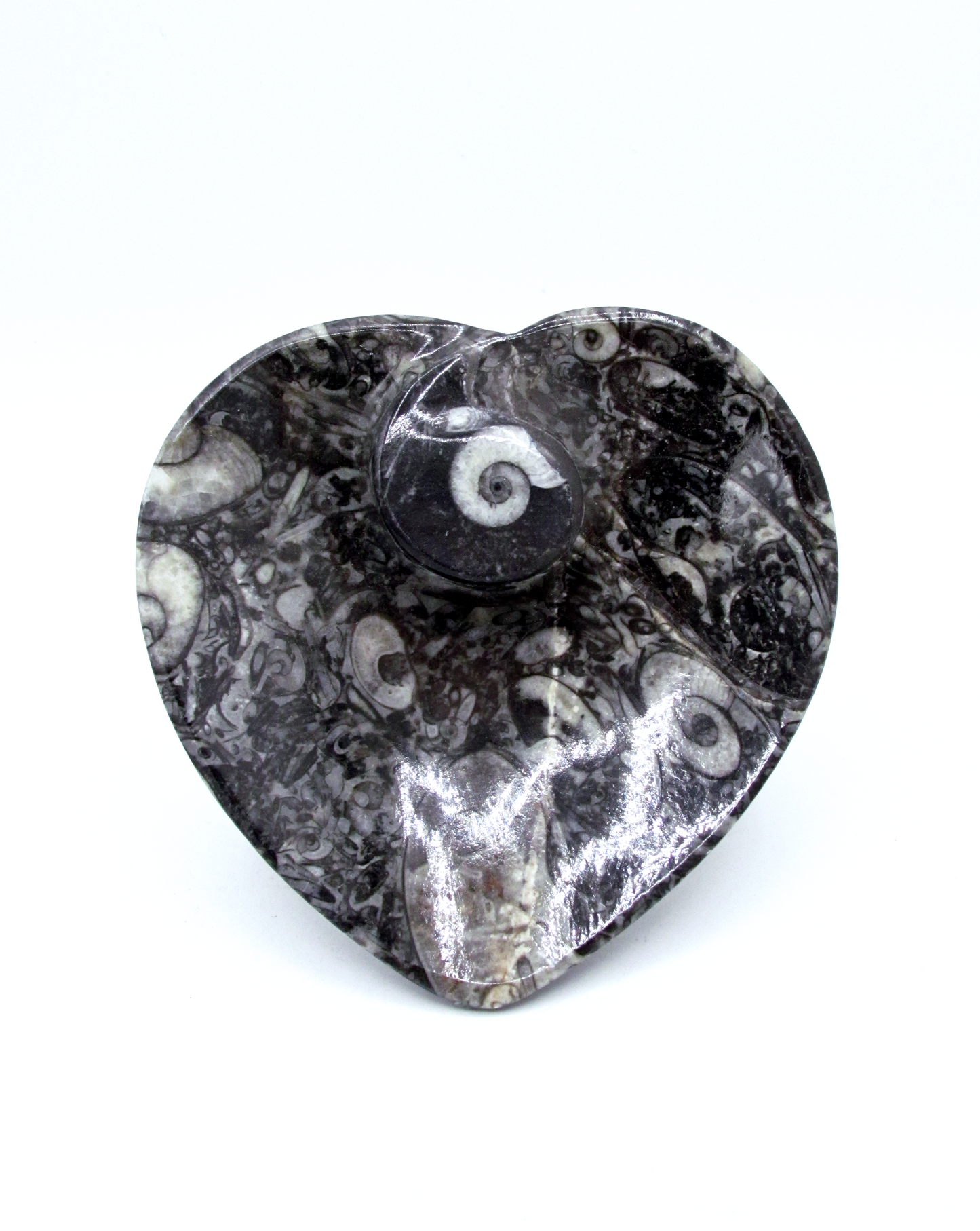 Fossilized Orthoceras Heart Tray | Hand-Carved in Morocco