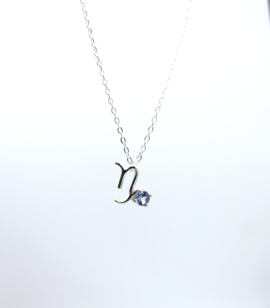 Capricorn Zodiac Pendant - Tanzanite – Sterling Silver