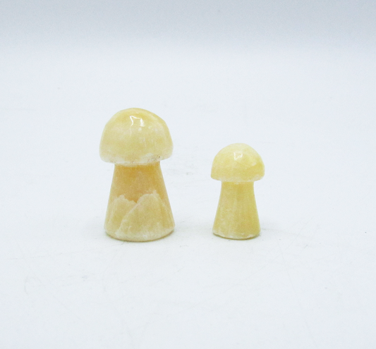 Mini Mushroom Crystals