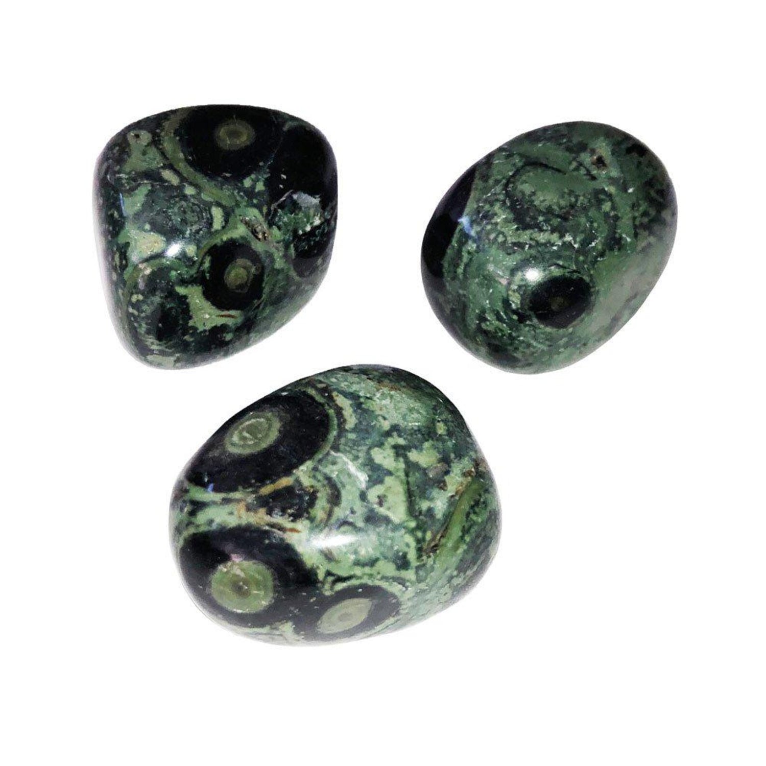 Kambaba Jasper