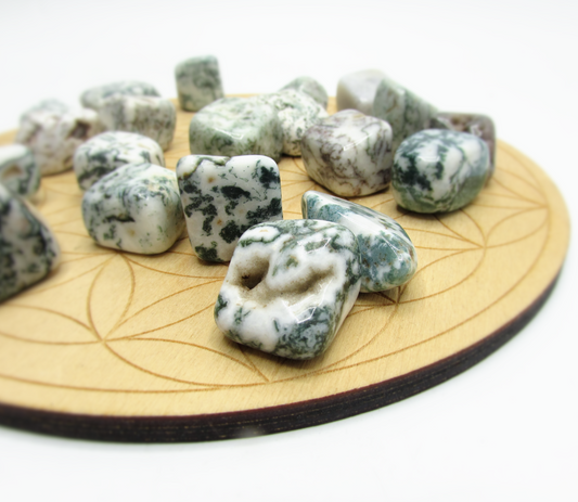 Moss Agate Tumbled