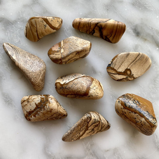 Picture Jasper Tumbled