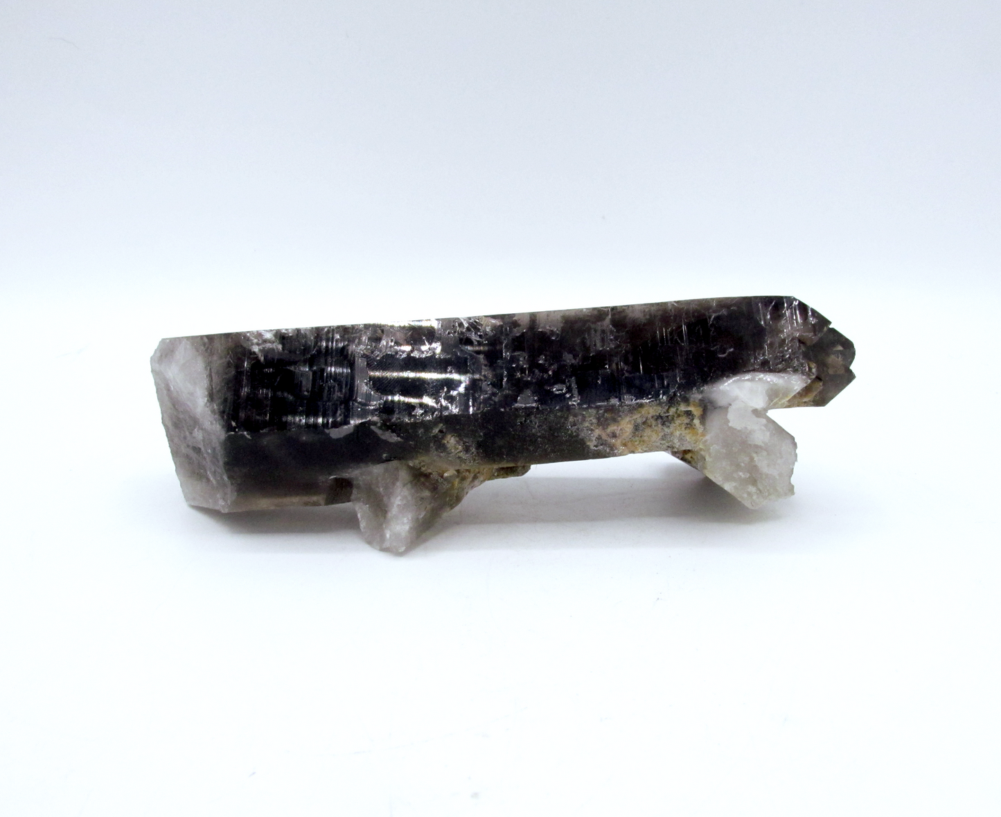 Specimen Grade Smoky Quartz | Grade A Smoky Quartz Cluster