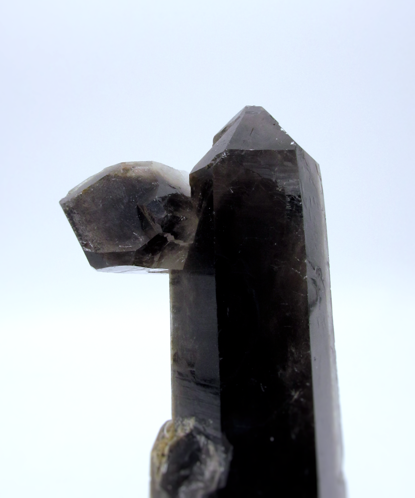 Specimen Grade Smoky Quartz | Grade A Smoky Quartz Cluster