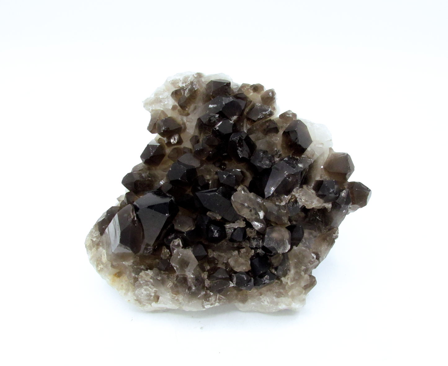 Specimen Grade Smoky Quartz | Grade A Smoky Quartz Cluster
