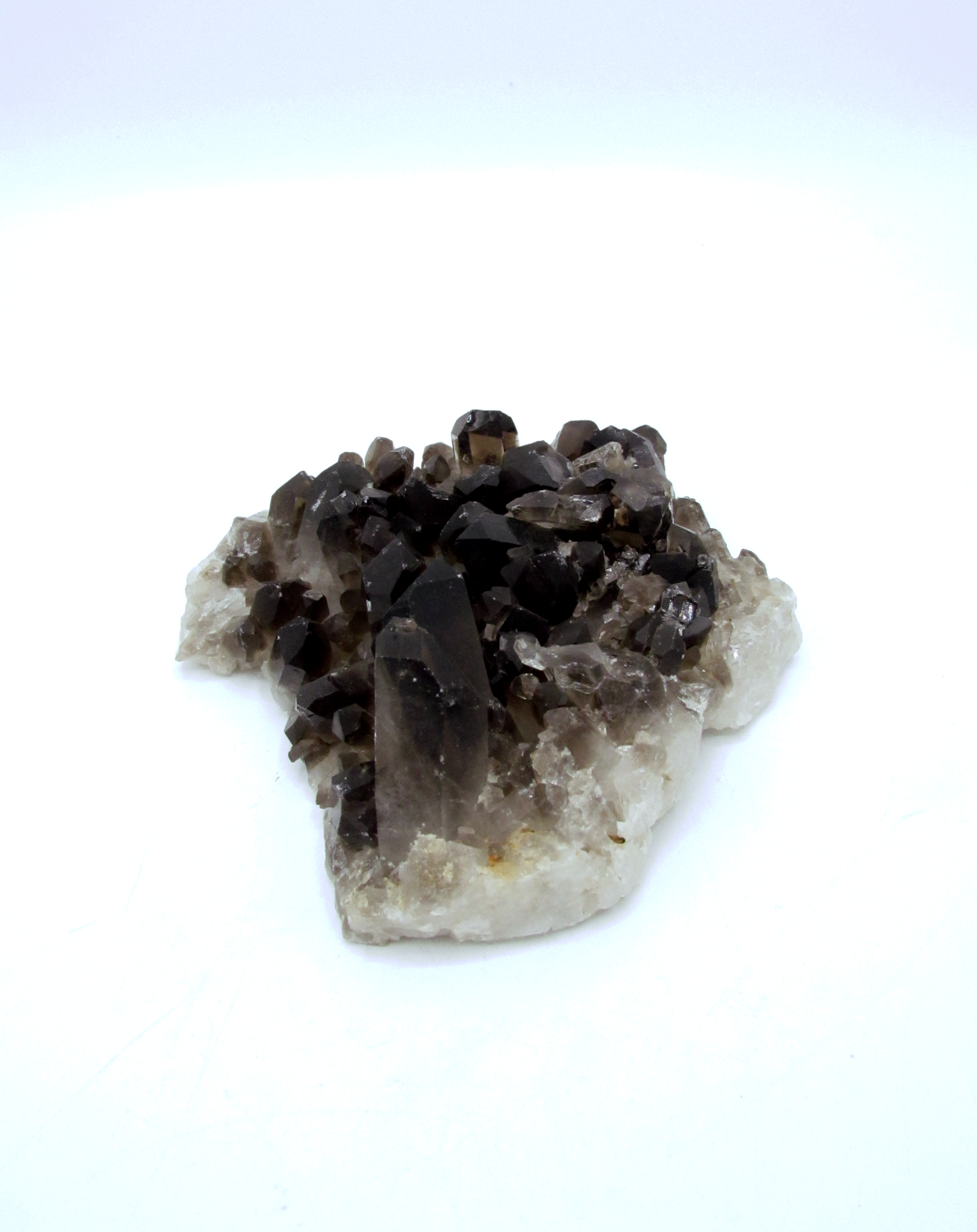 Specimen Grade Smoky Quartz | Grade A Smoky Quartz Cluster