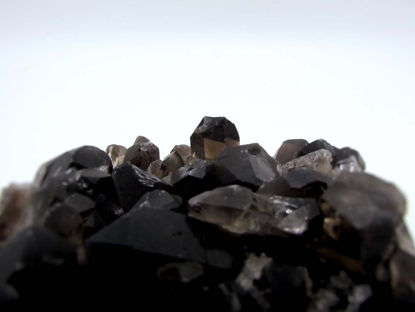 Specimen Grade Smoky Quartz | Grade A Smoky Quartz Cluster