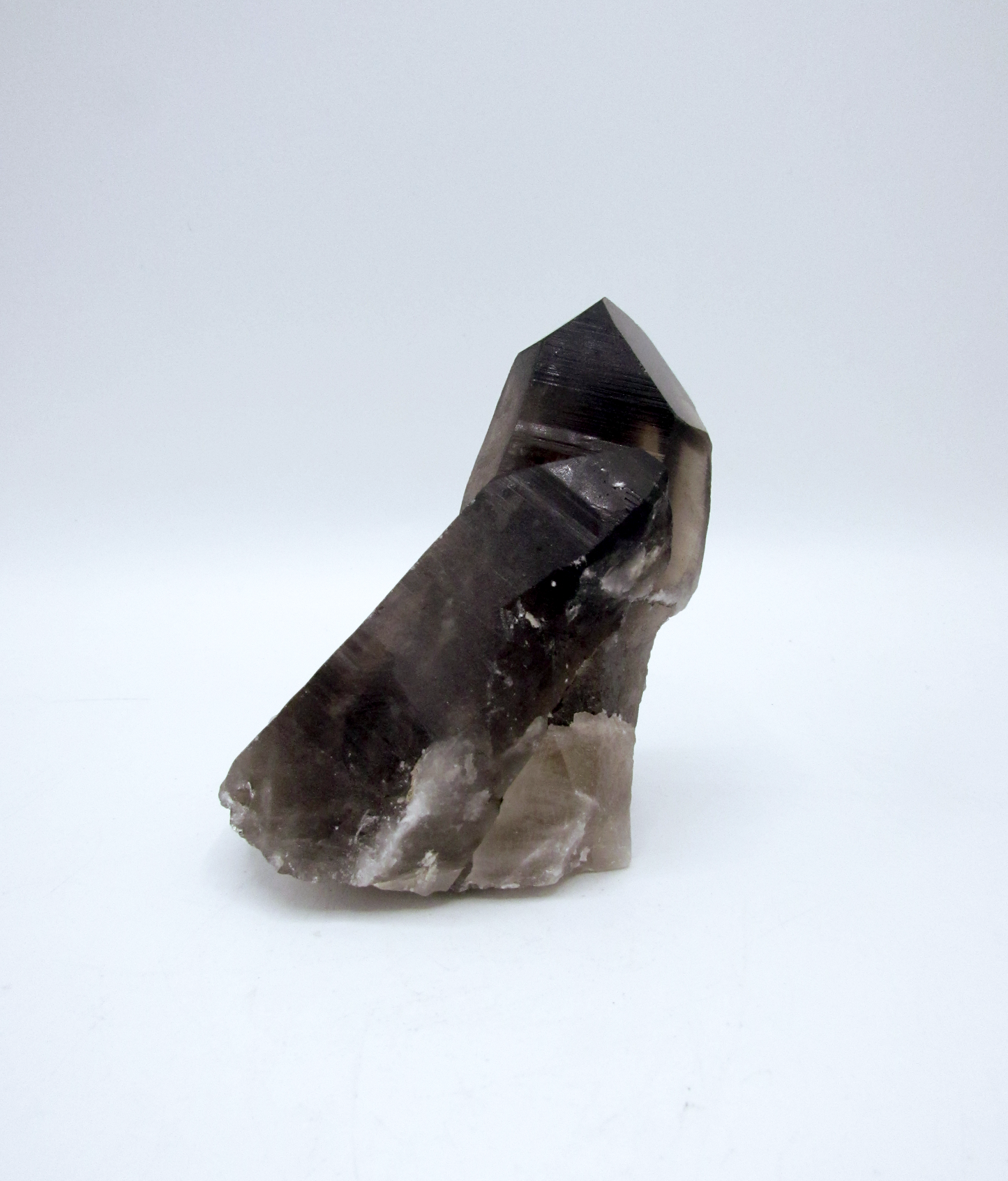 Specimen Grade Smoky Quartz | Grade A Smoky Quartz Cluster