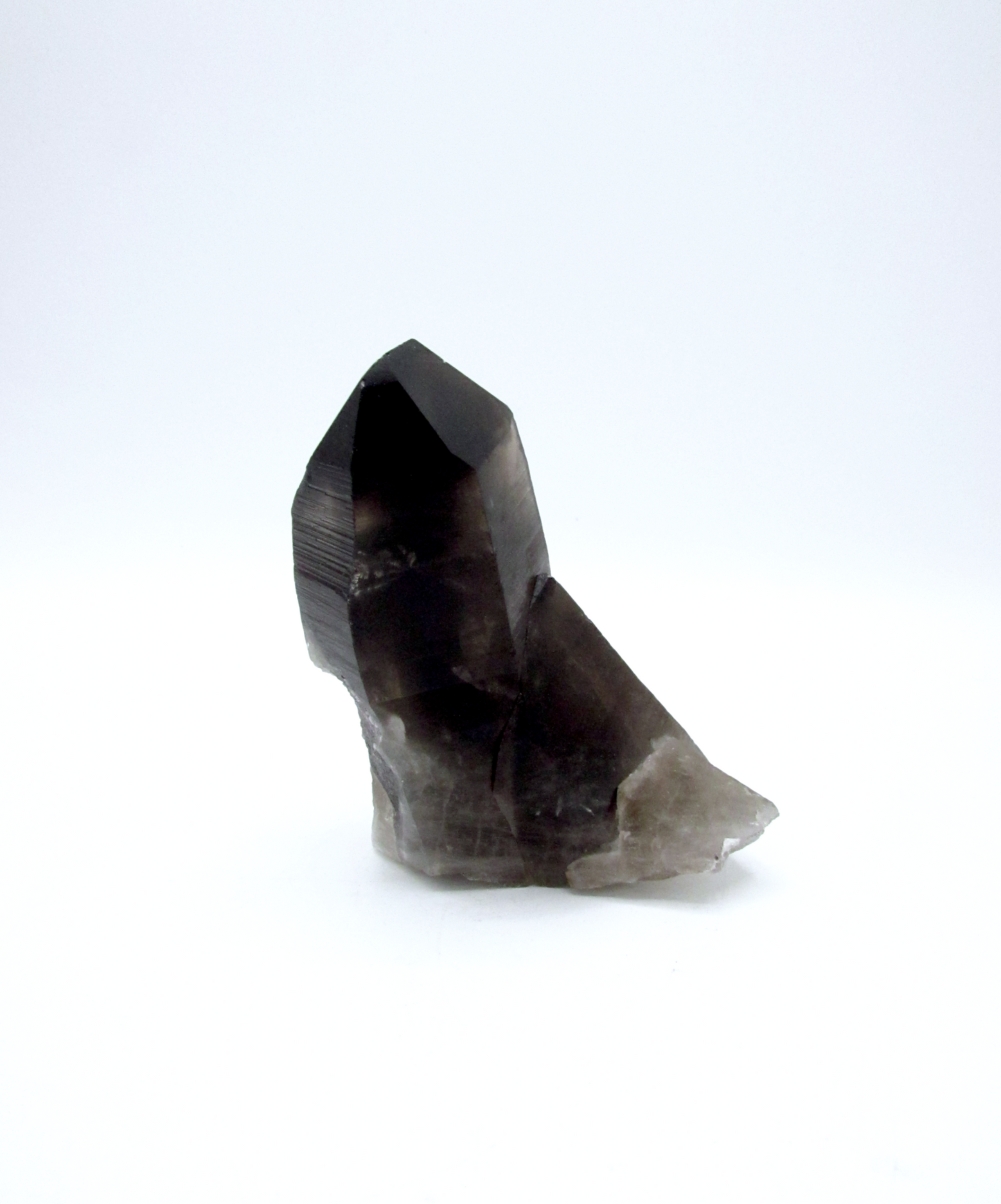 Specimen Grade Smoky Quartz | Grade A Smoky Quartz Cluster