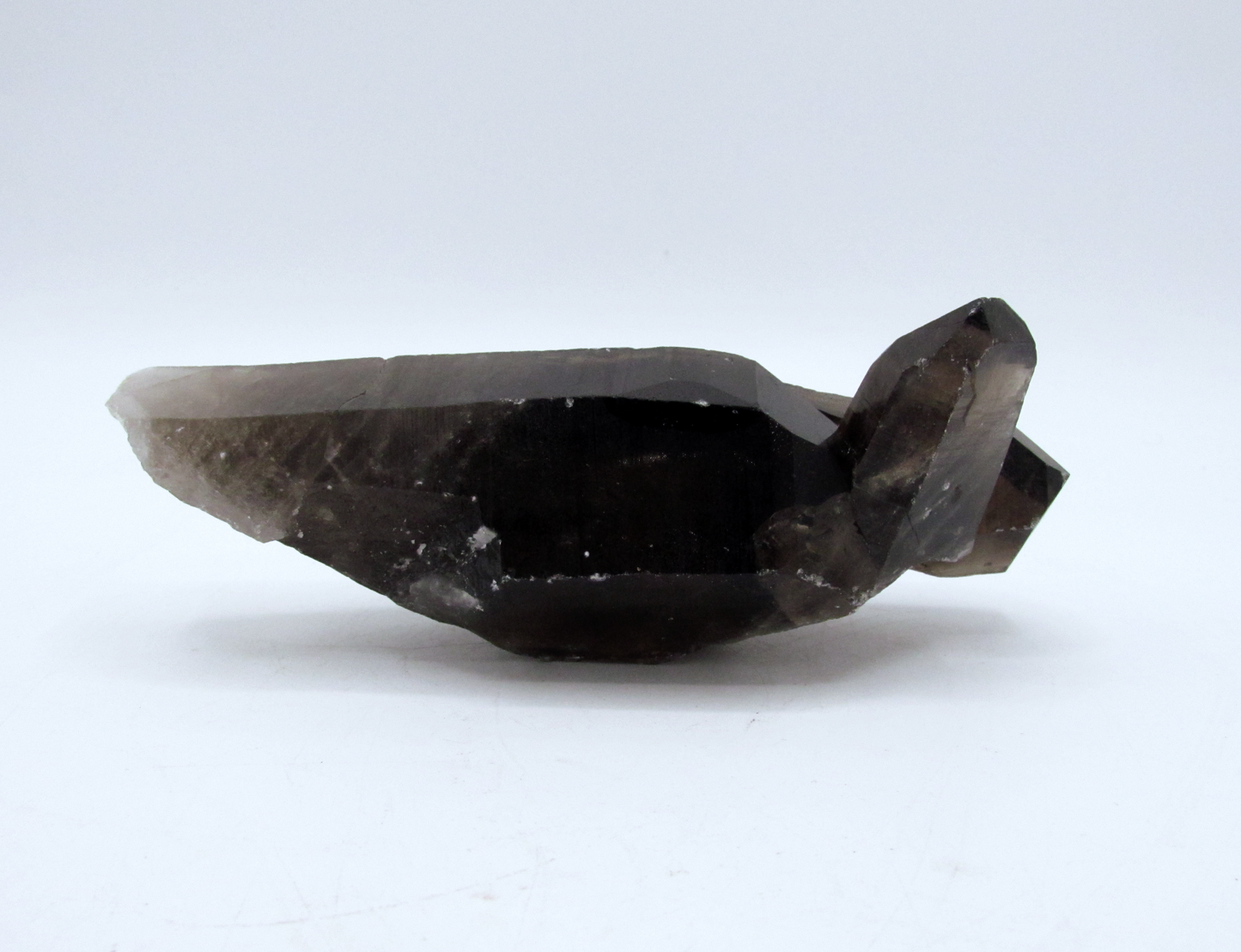 Specimen Grade Smoky Quartz | Grade A Smoky Quartz Cluster