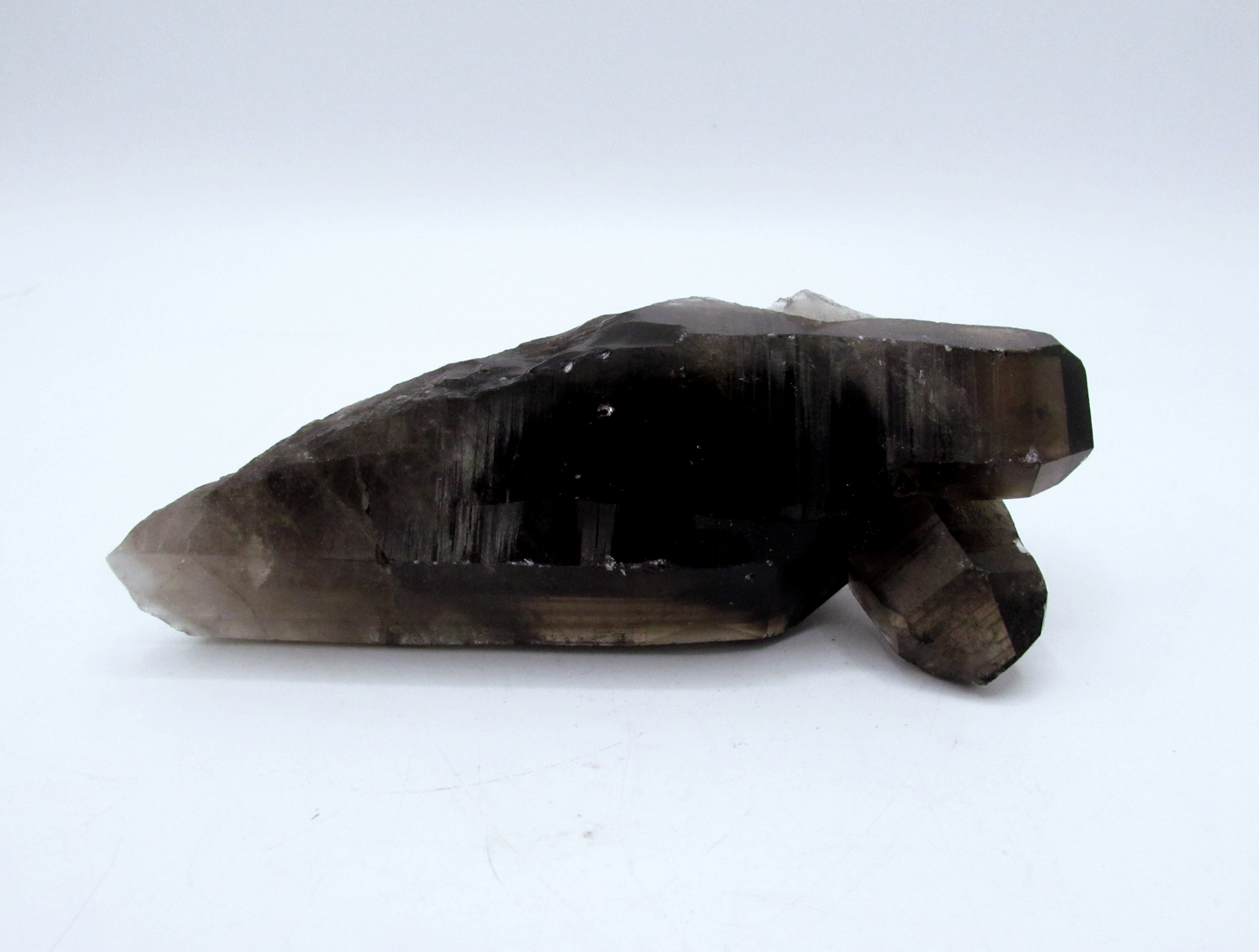 Specimen Grade Smoky Quartz | Grade A Smoky Quartz Cluster