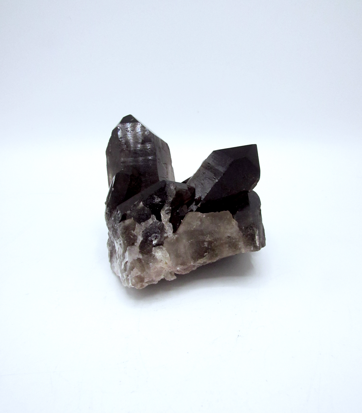 Specimen Grade Smoky Quartz | Grade A Smoky Quartz Cluster