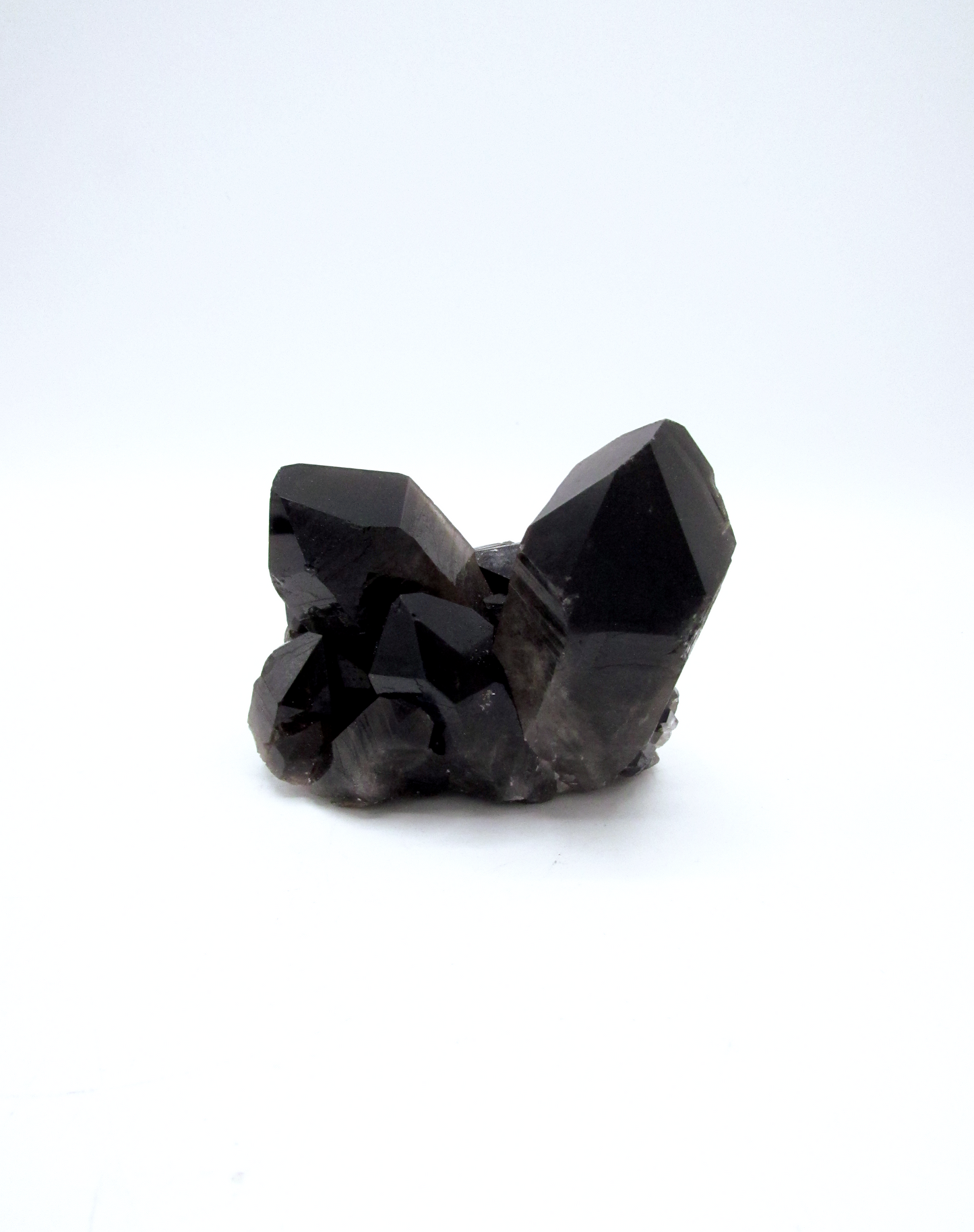 Specimen Grade Smoky Quartz | Grade A Smoky Quartz Cluster