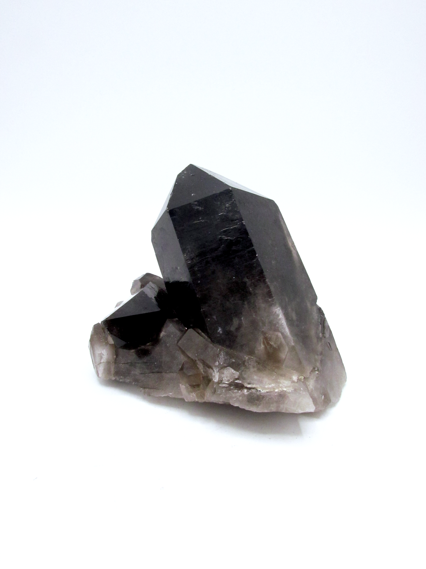 Specimen Grade Smoky Quartz | Grade A Smoky Quartz Cluster