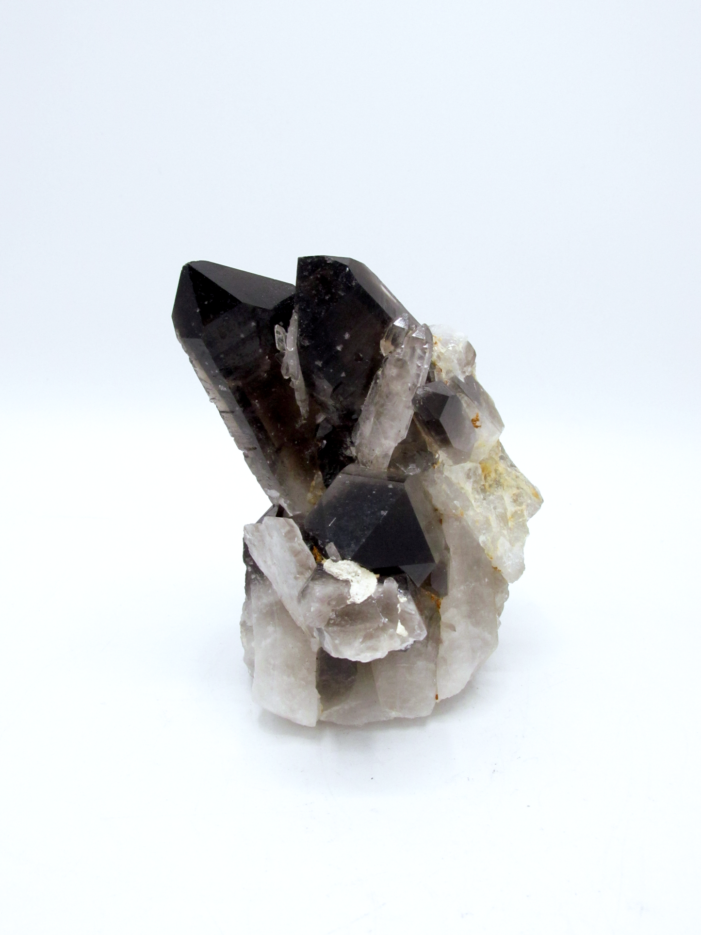 Specimen Grade Smoky Quartz | Grade A Smoky Quartz Cluster